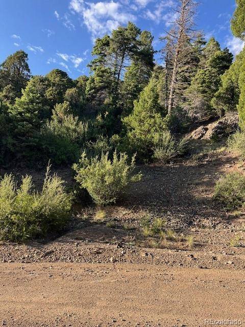 Lot 5693 Balleroy RD, San Luis, CO 81152