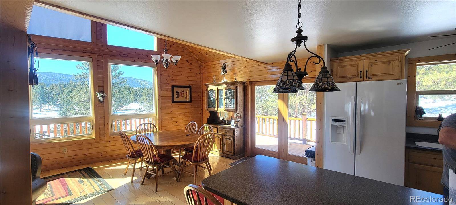 1321 Bristlecone RD, Guffey, CO 80820