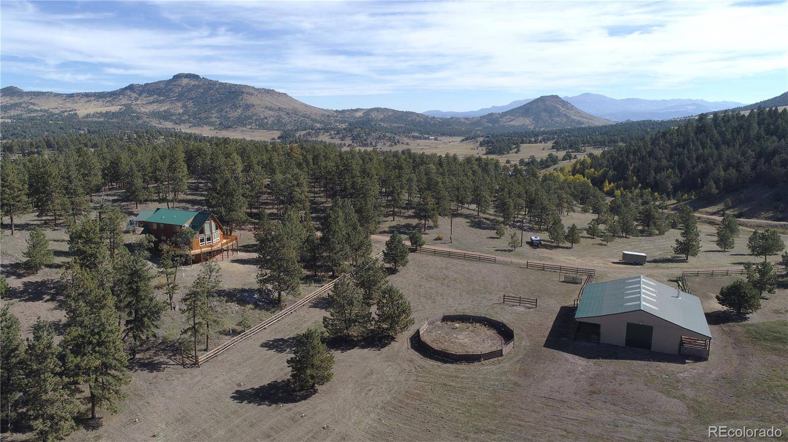 1321 Bristlecone RD, Guffey, CO 80820