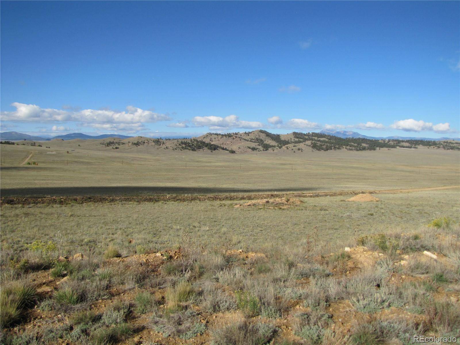 533 Cohonina RD, Hartsel, CO 80449
