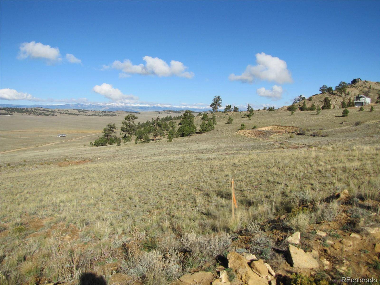 533 Cohonina RD, Hartsel, CO 80449