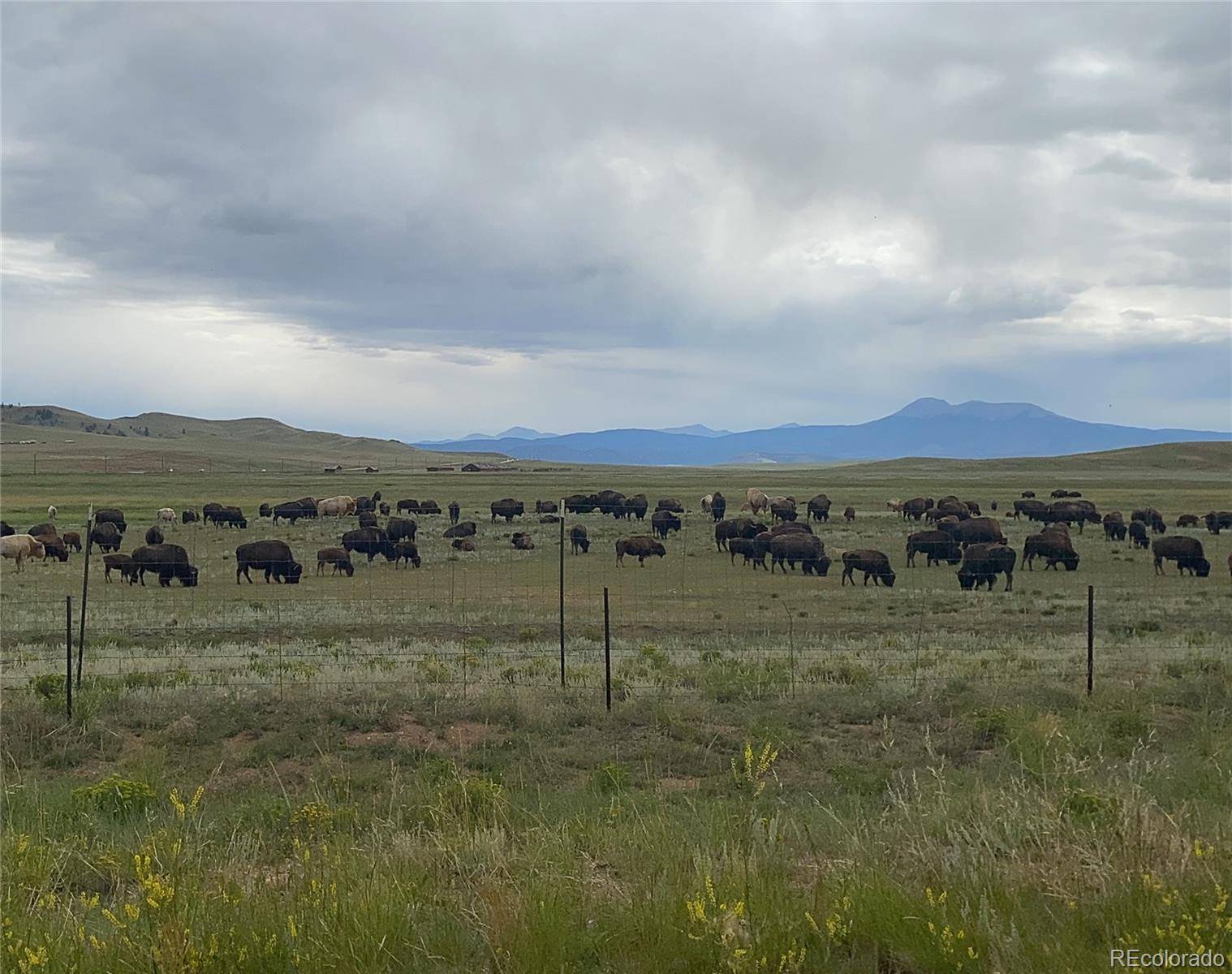 878 Cheyenne TRL, Hartsel, CO 80449