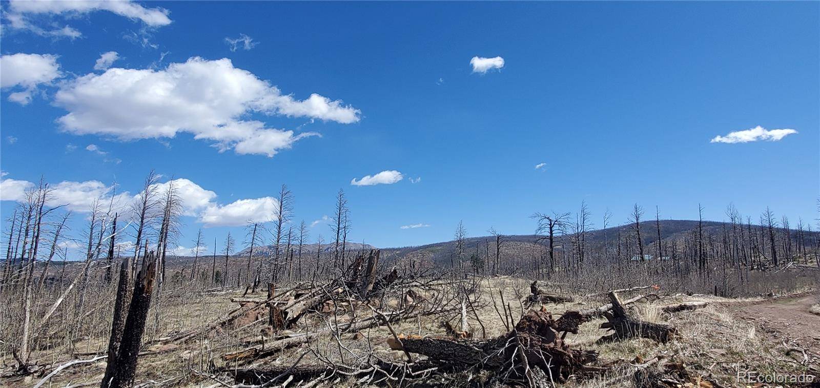 lot  1228 Granville LOOP, Fort Garland, CO 81133