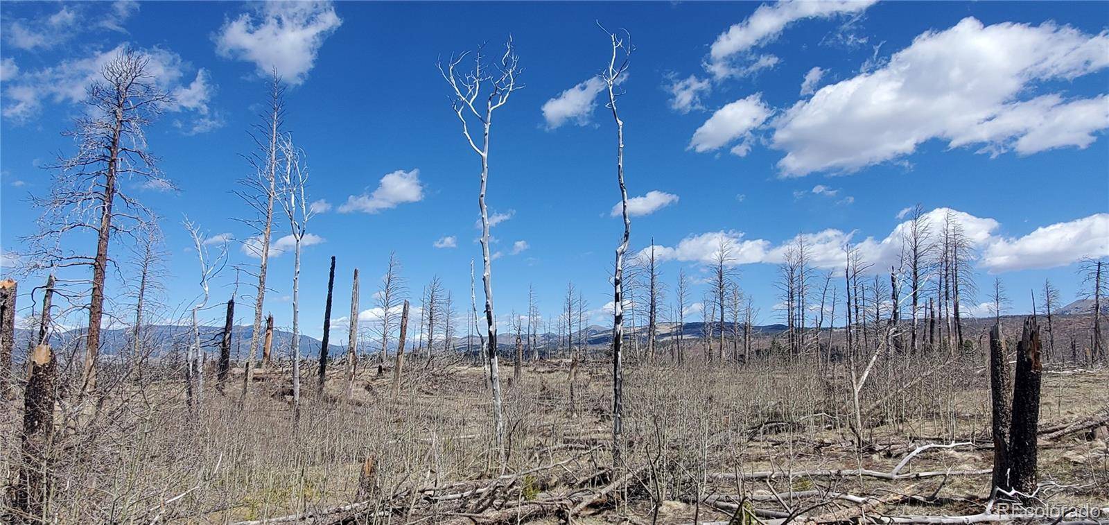 lot  1228 Granville LOOP, Fort Garland, CO 81133