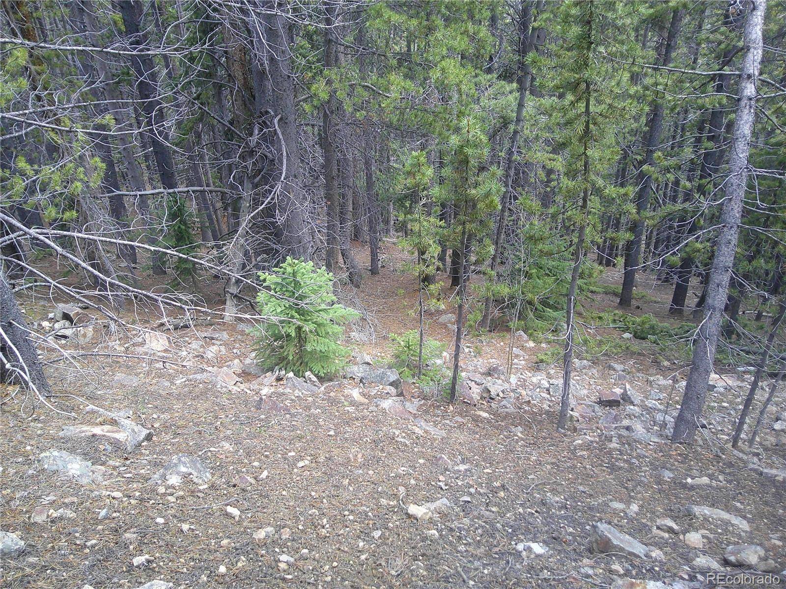 Lot #441 Hillside RD, Idaho Springs, CO 80452