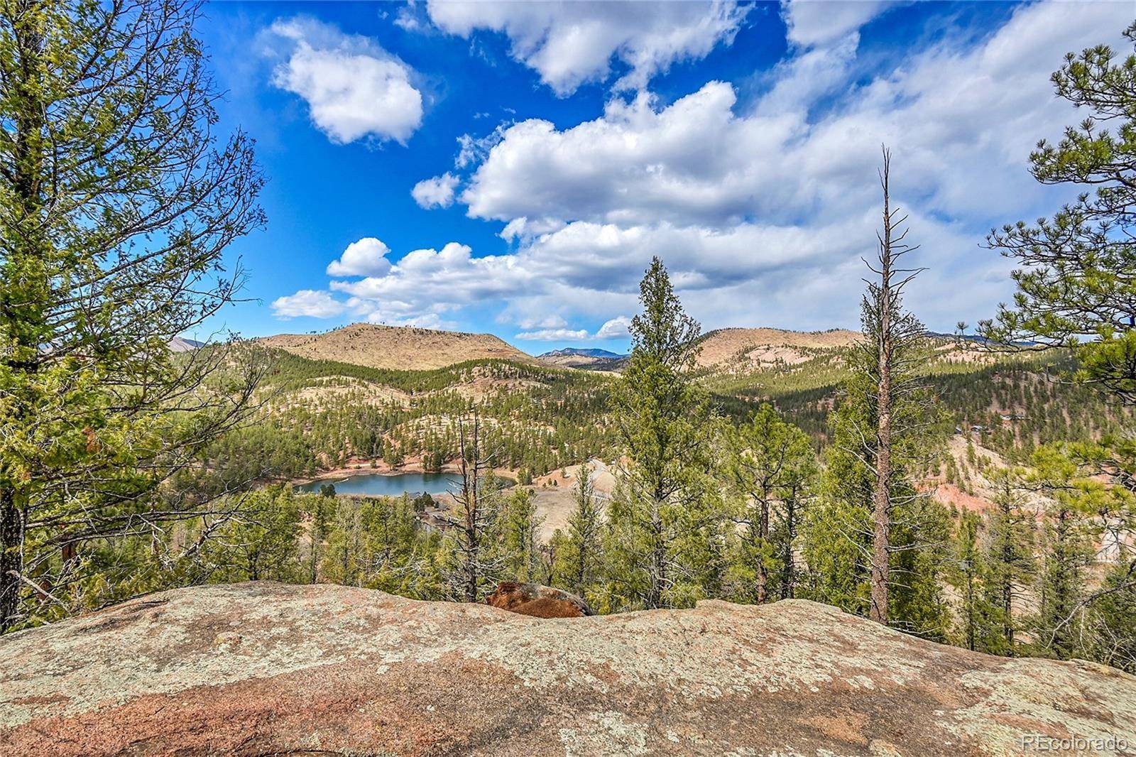 17016 Icehouse CT, Pine, CO 80470