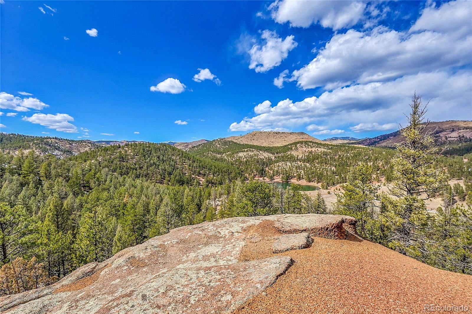 17016 Icehouse CT, Pine, CO 80470