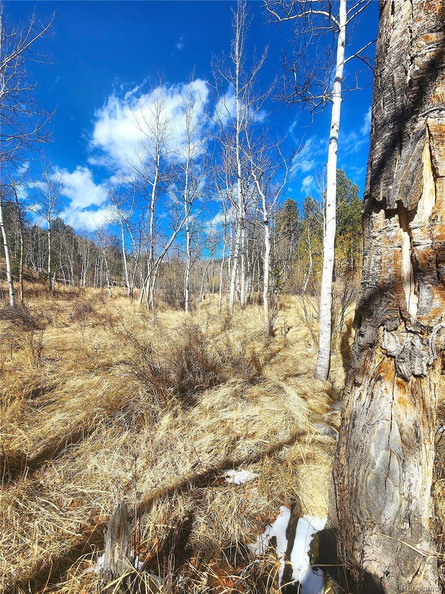 144 Gray ST, Bailey, CO 80421