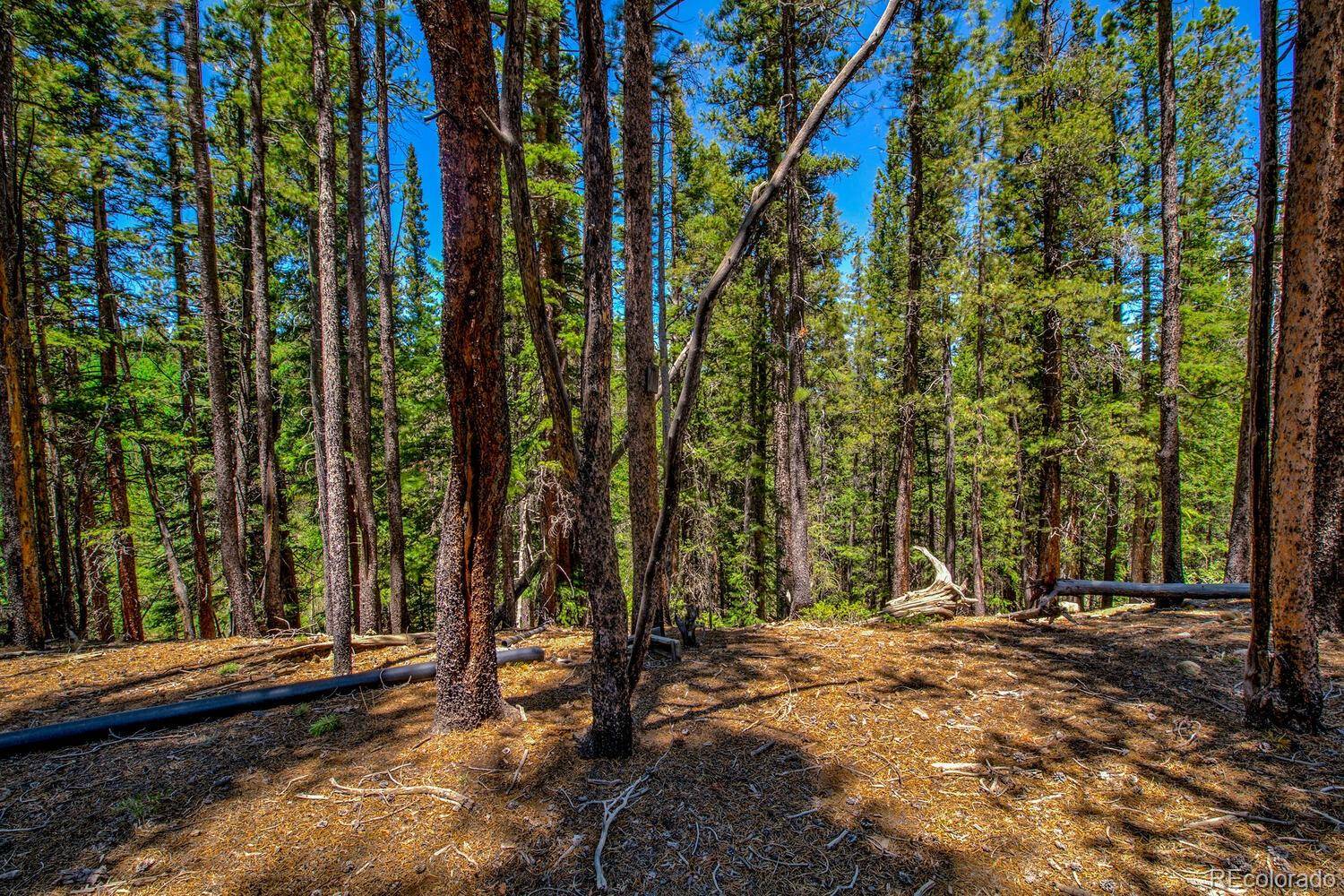4100 CO RD 1, Fairplay, CO 80440