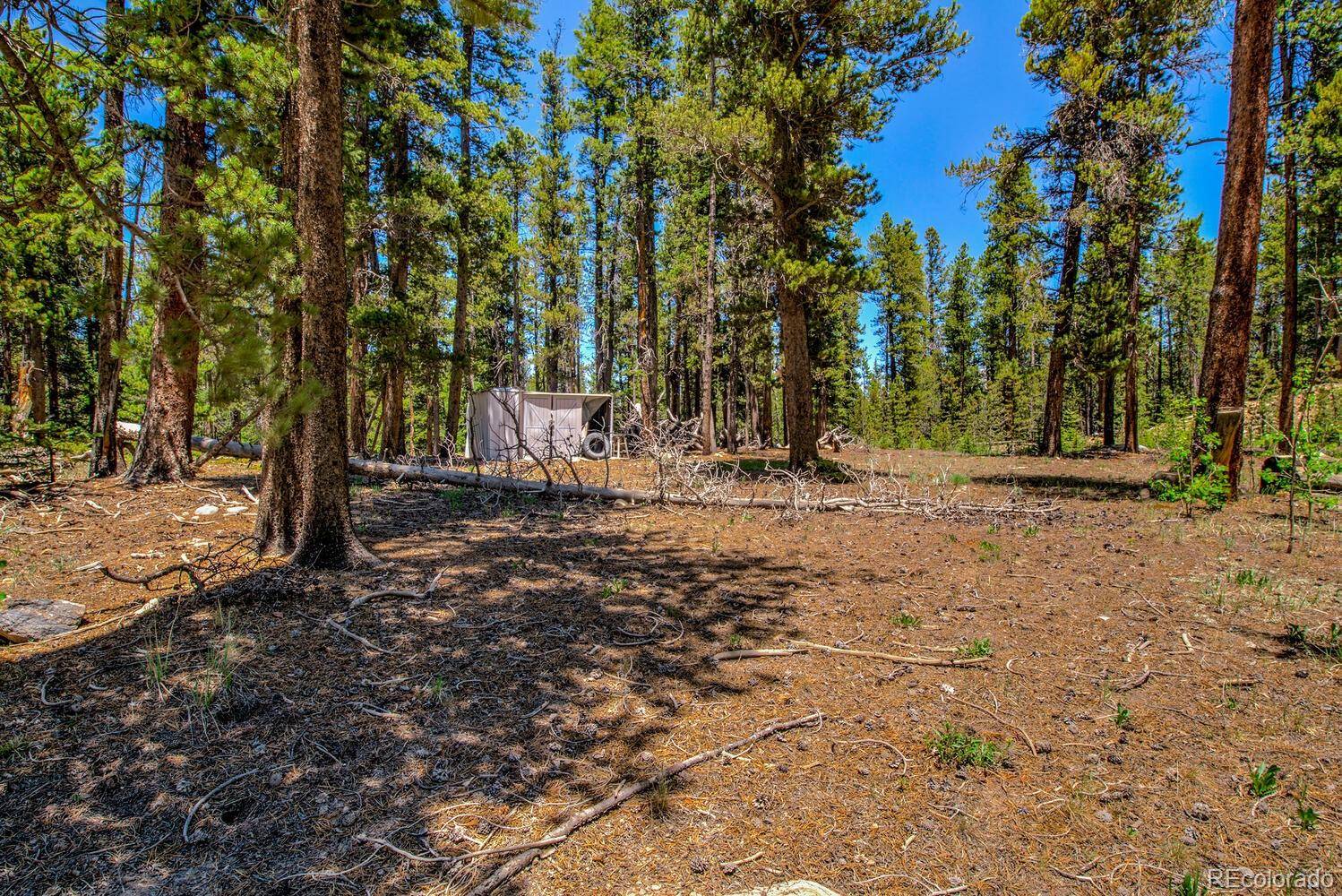 4100 CO RD 1, Fairplay, CO 80440