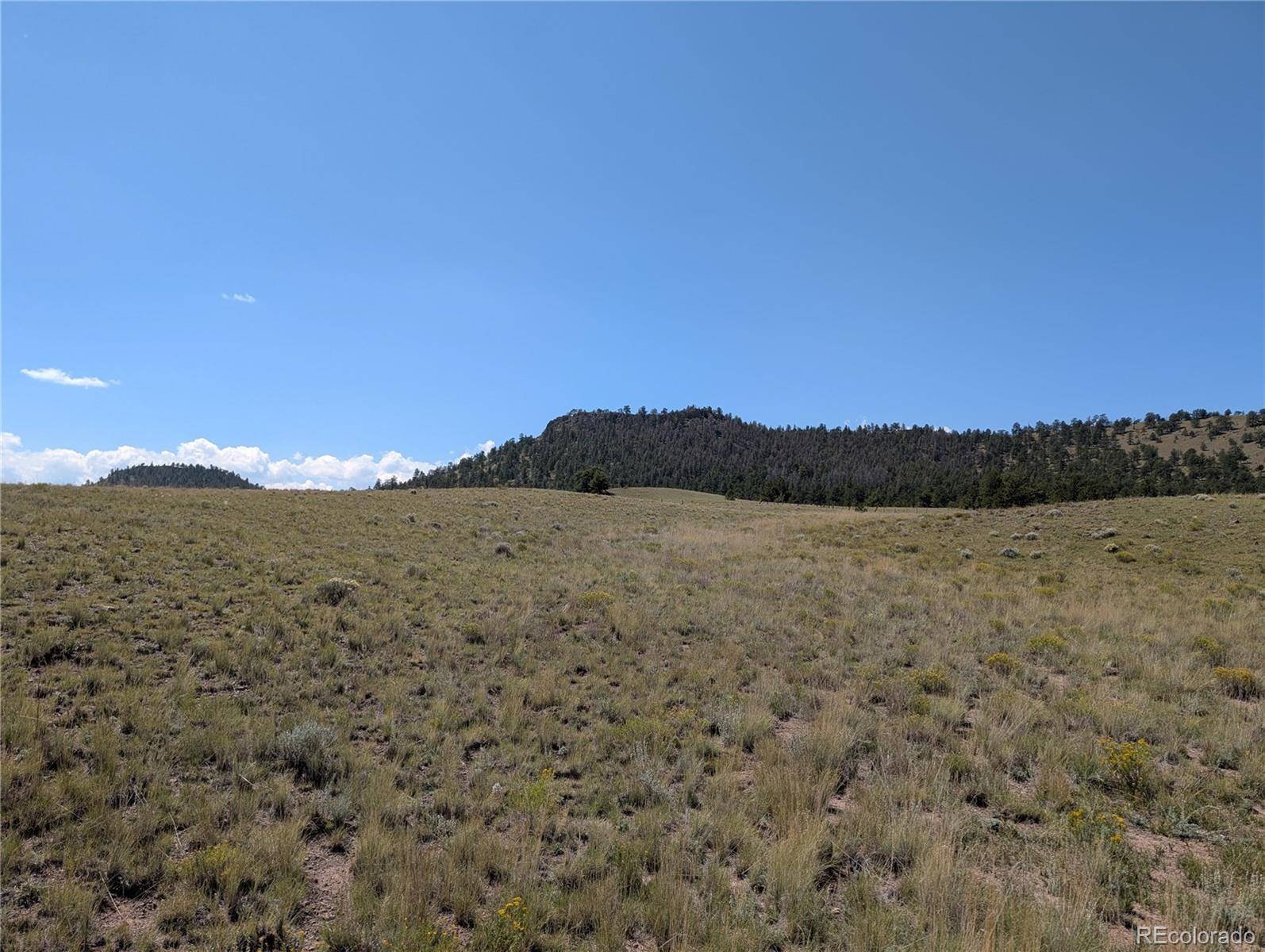 0 Cherokee TRL, Hartsel, CO 80449