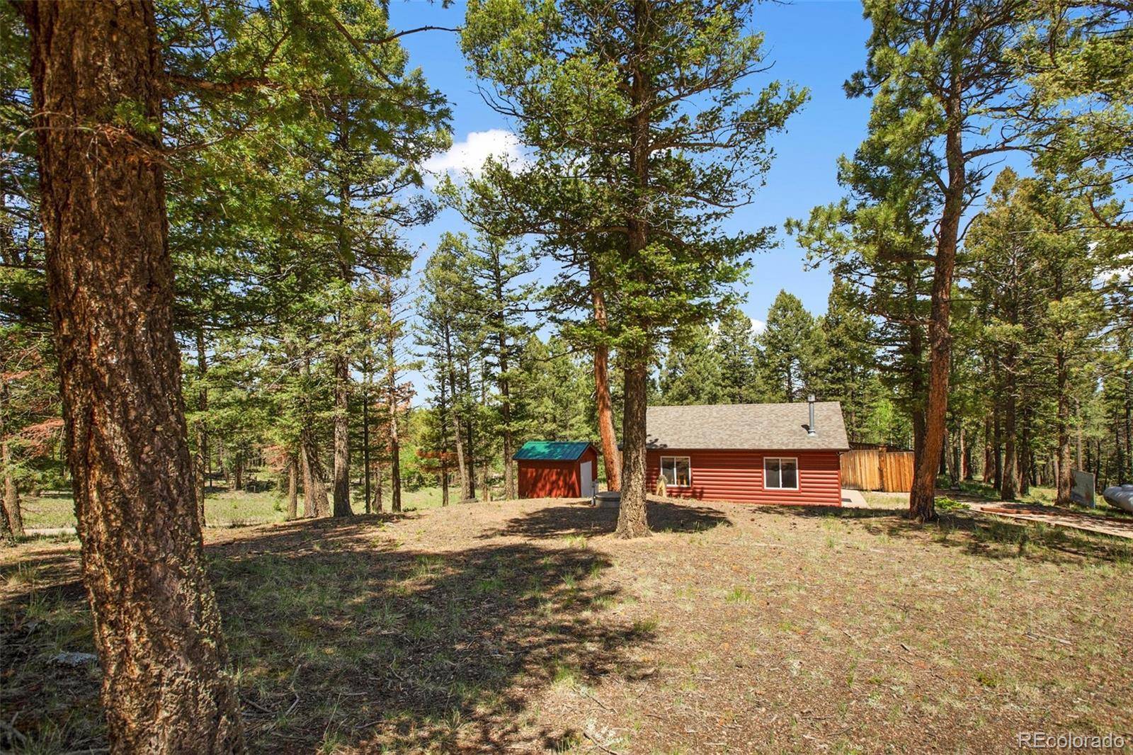 31 Handcart CIR, Florissant, CO 80816
