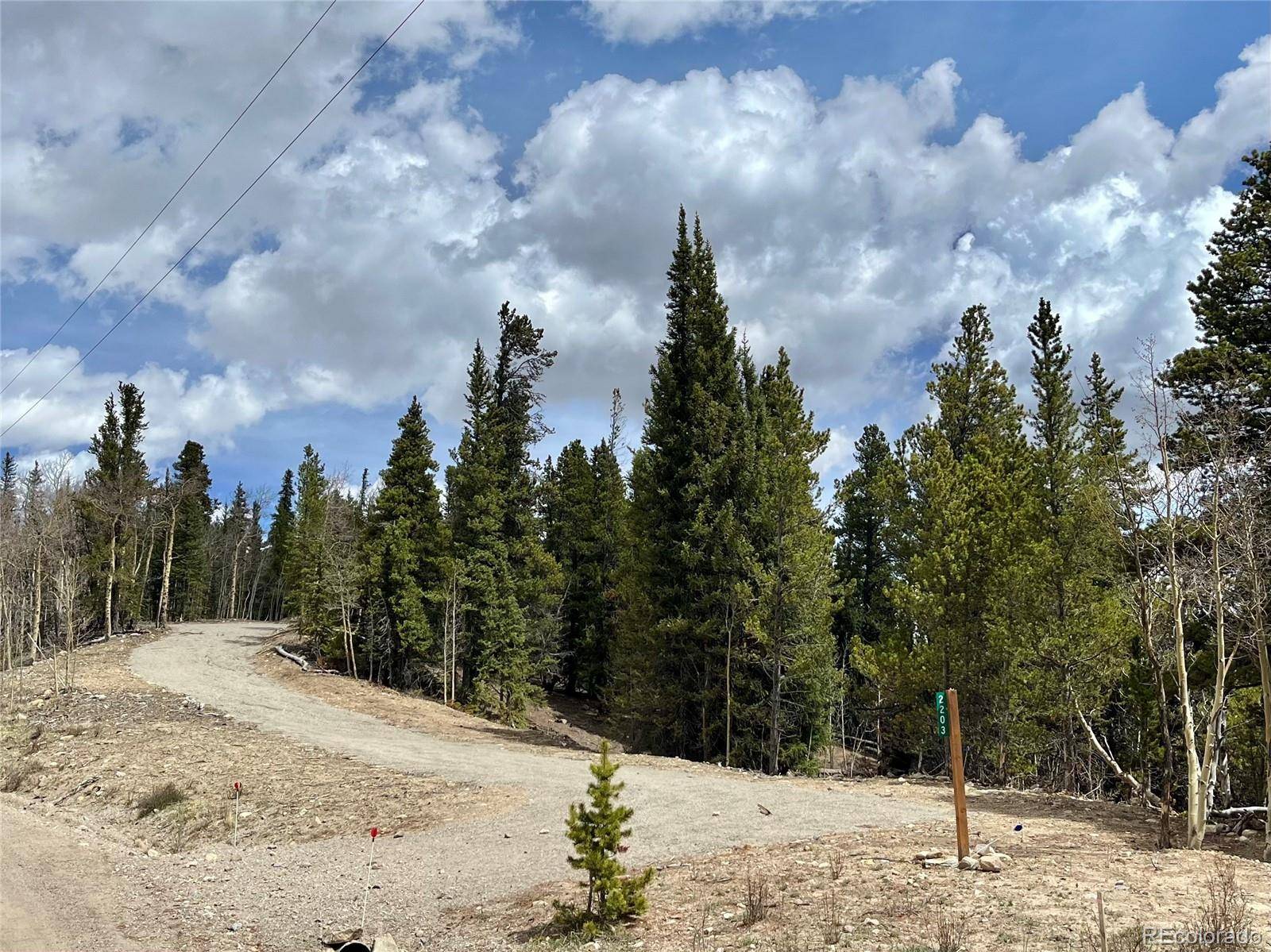 2203 Lakeside DR, Fairplay, CO 80440