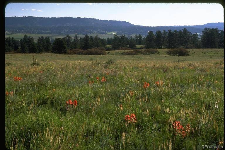 2250 Charlford LN, Sedalia, CO 80135
