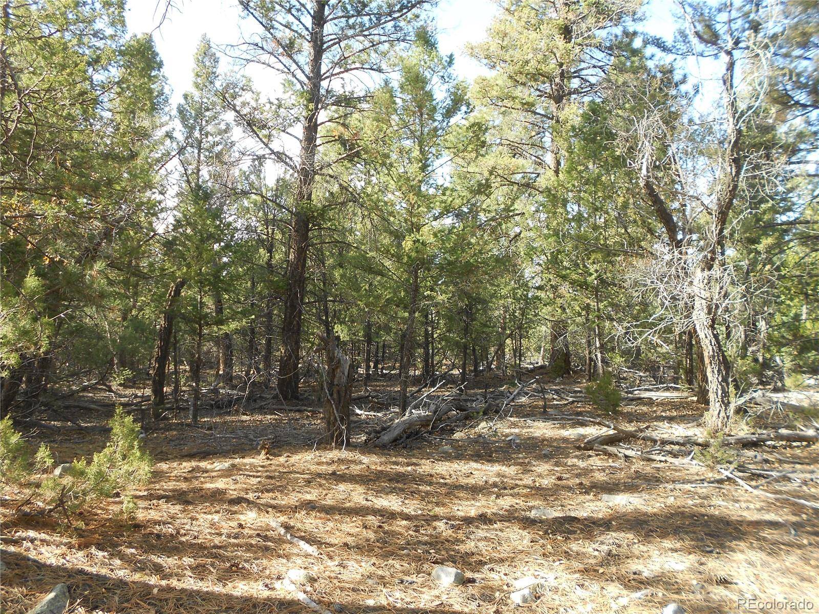 206 W Zapata PL, Mosca, CO 81146