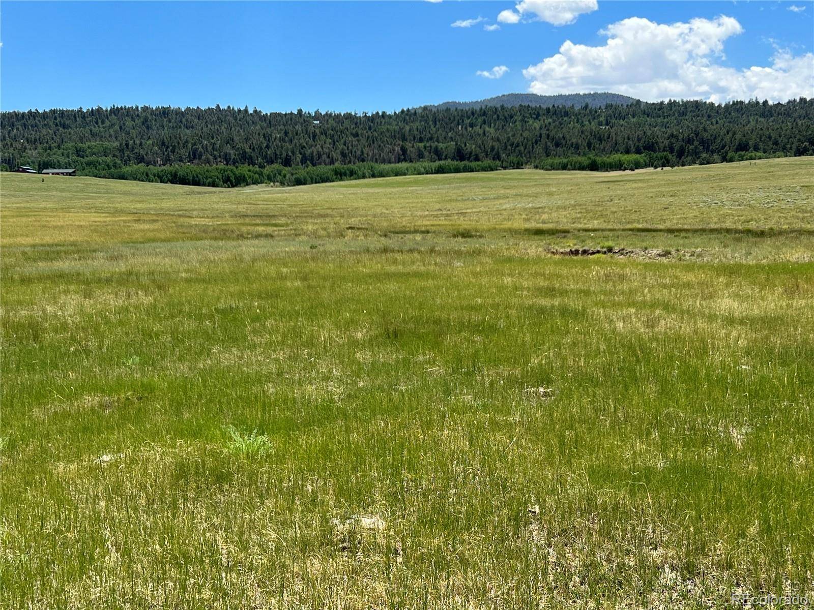 3255 Ranch RD, Hartsel, CO 80449
