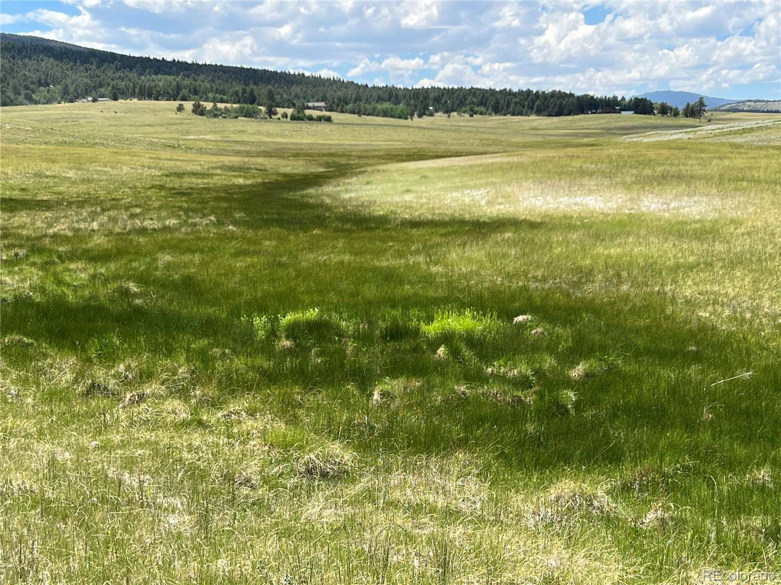 3255 Ranch RD, Hartsel, CO 80449