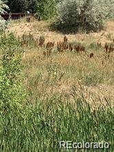 8348 S Carr WAY, Littleton, CO 80128