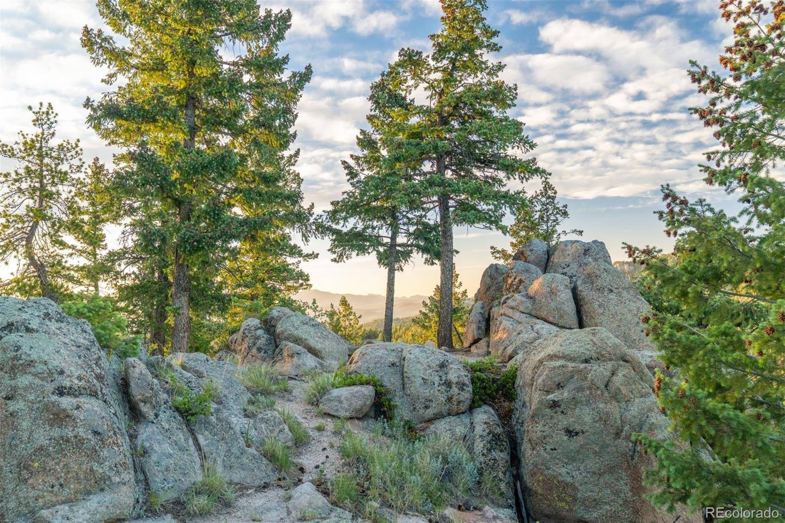 6371 Canyon Creek RD, Evergreen, CO 80439