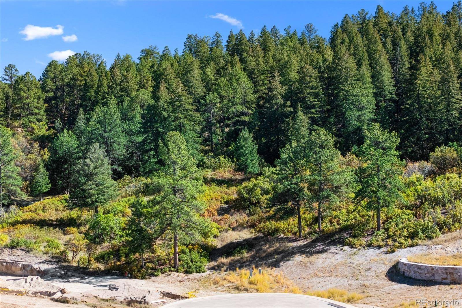 1095 Golf Estates PT, Castle Rock, CO 80108