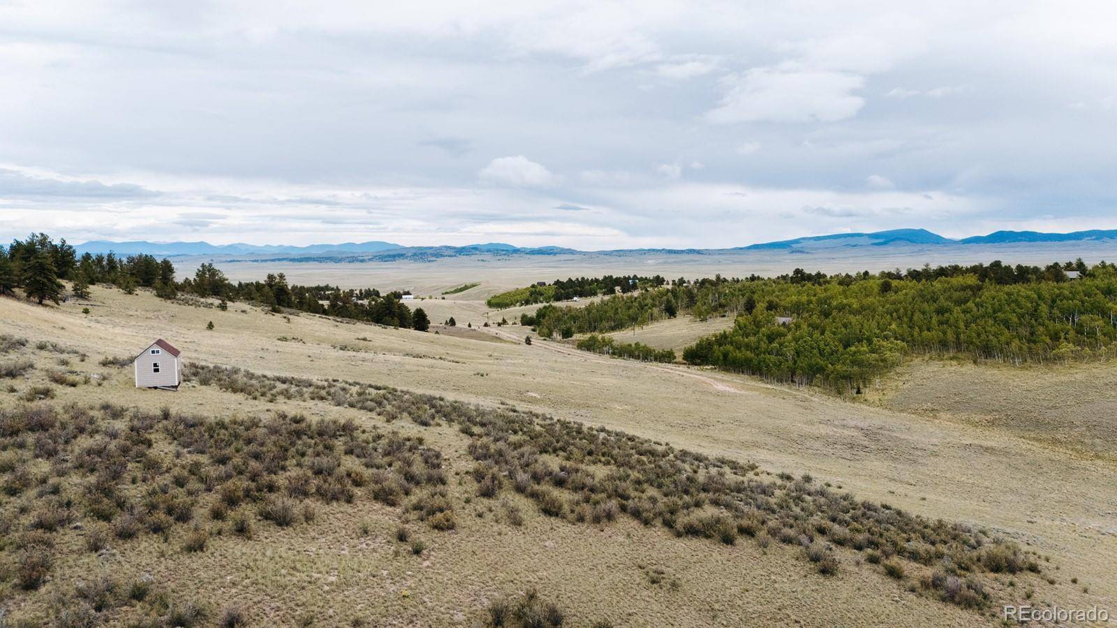 1255 Bolster DR, Hartsel, CO 80449