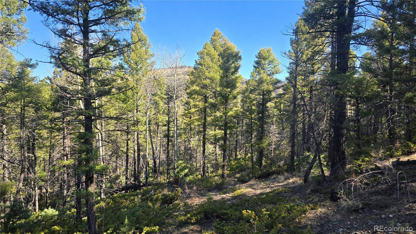 Lot 6034 Wood RD, San Luis, CO 81152