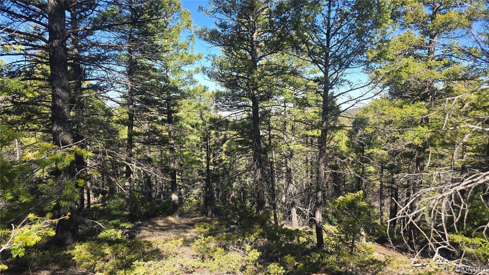Lot 6034 Wood RD, San Luis, CO 81152