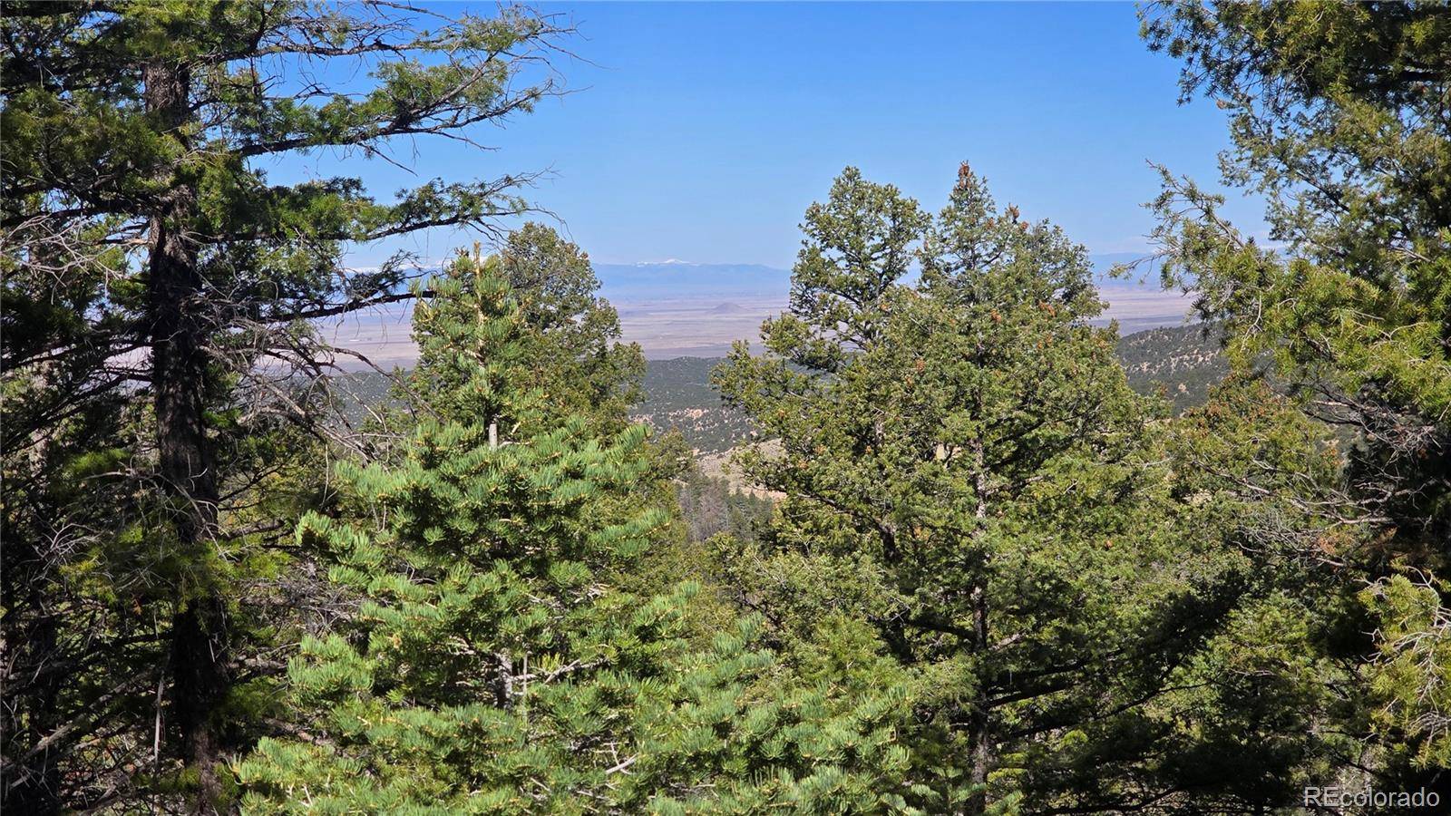 Lot 6034 Wood RD, San Luis, CO 81152