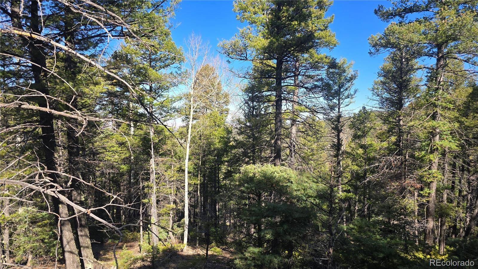 Lot 6034 Wood RD, San Luis, CO 81152
