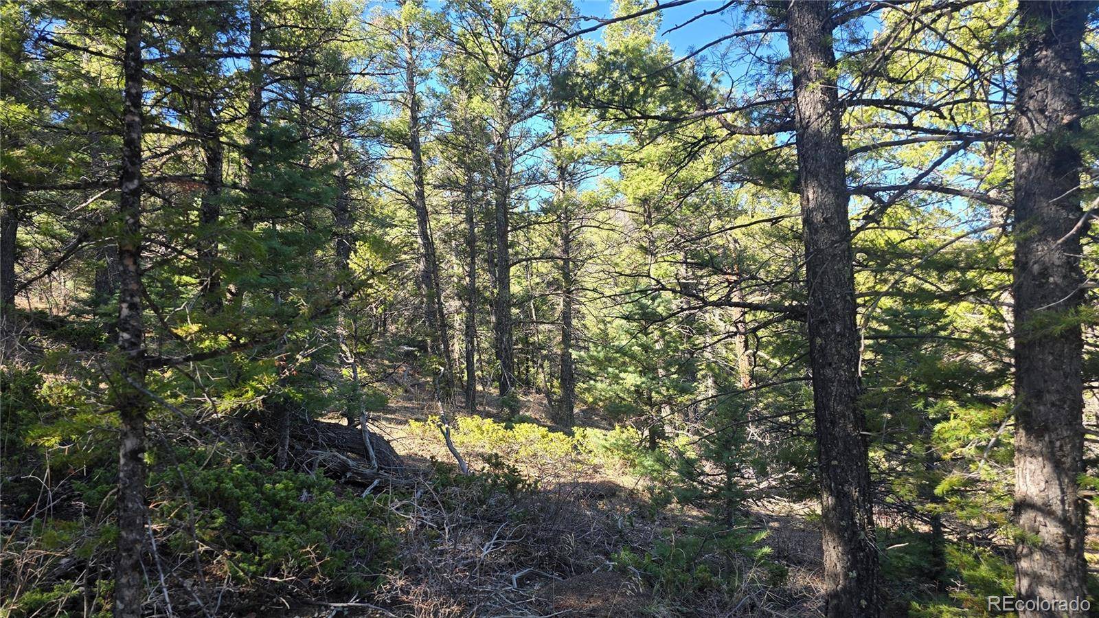 Lot 6034 Wood RD, San Luis, CO 81152