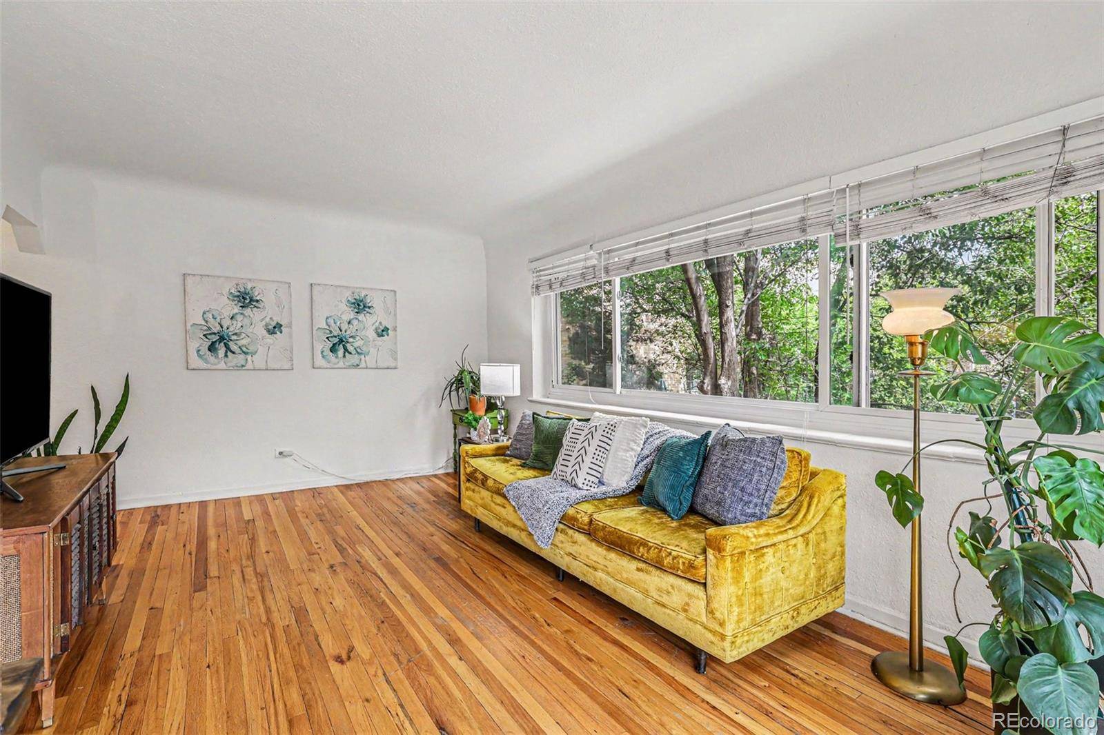 1520 Glencoe ST #7, Denver, CO 80220