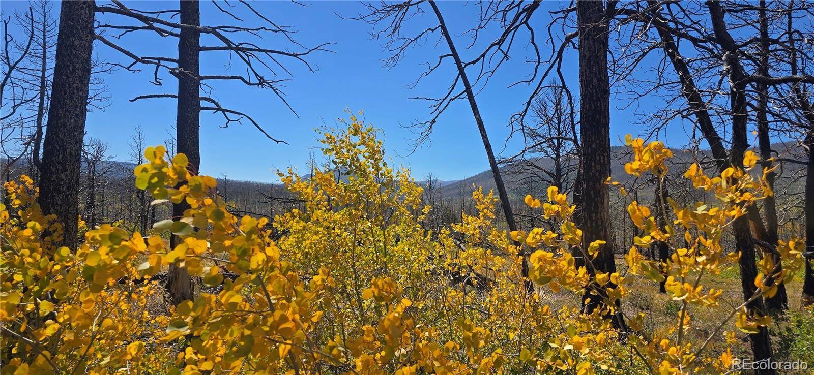 Lot 1684 Emery LOOP, Fort Garland, CO 81133