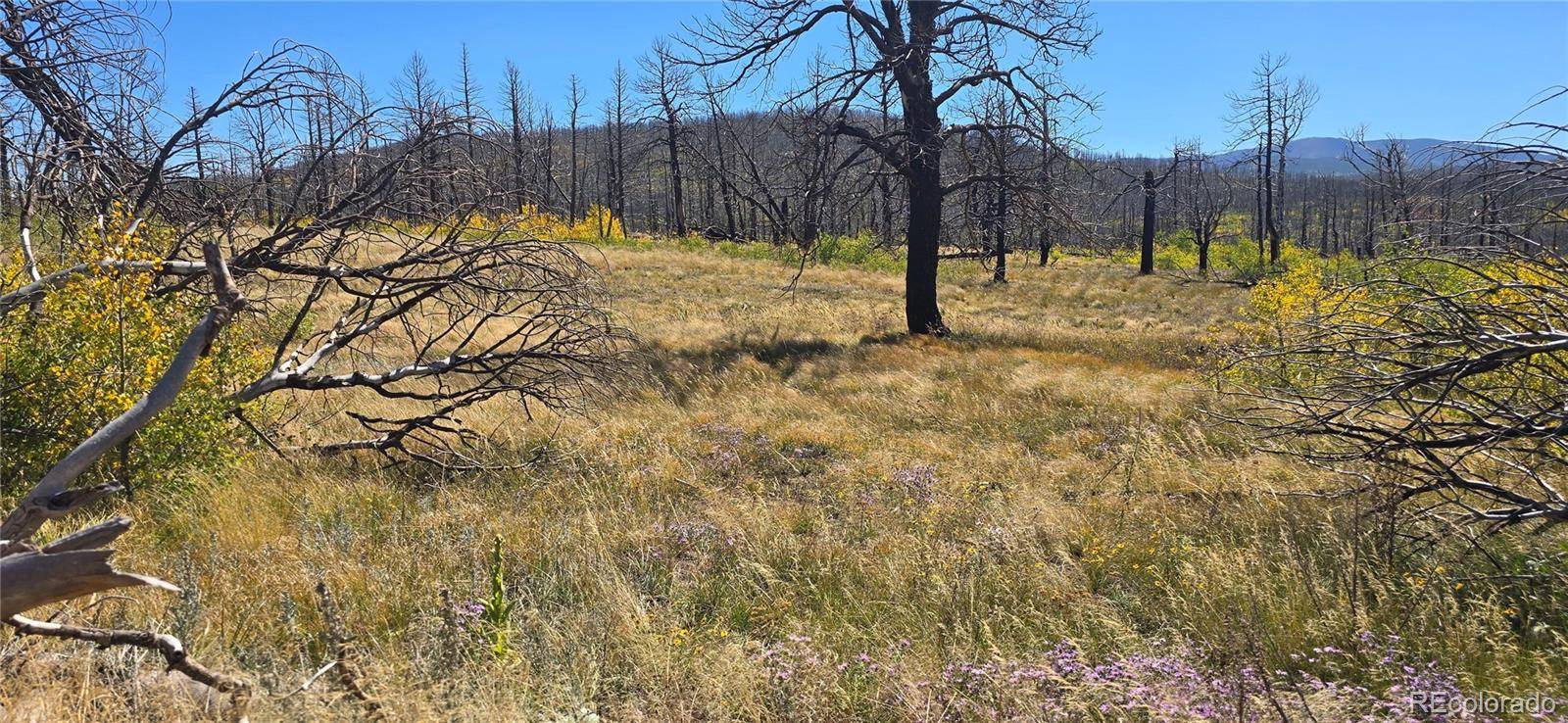 Lot 1684 Emery LOOP, Fort Garland, CO 81133