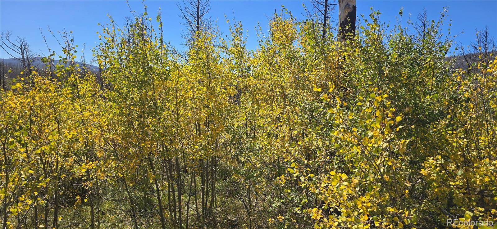 Lot 1684 Emery LOOP, Fort Garland, CO 81133