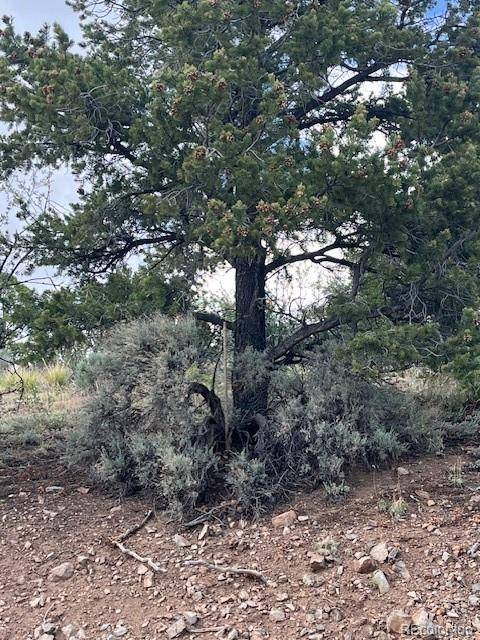Lot 5056 France Aimee RD, Fort Garland, CO 81133