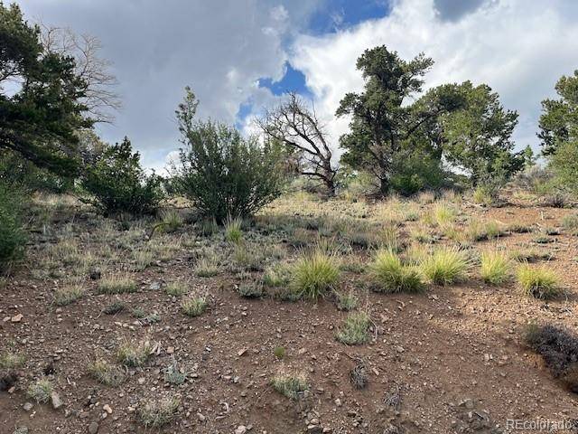 Lot 5056 France Aimee RD, Fort Garland, CO 81133