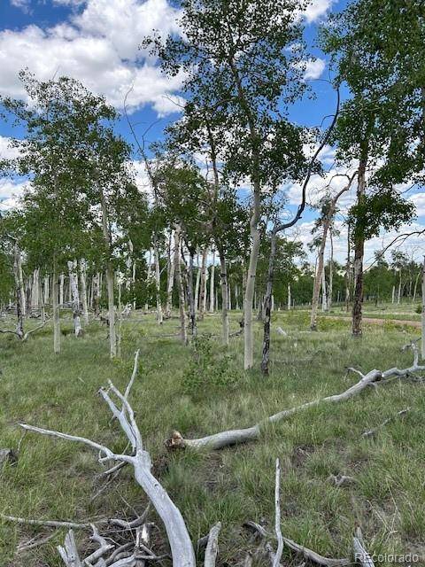 807 Bolster DR, Hartsel, CO 80449