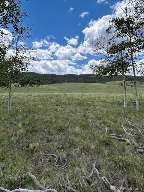 807 Bolster DR, Hartsel, CO 80449