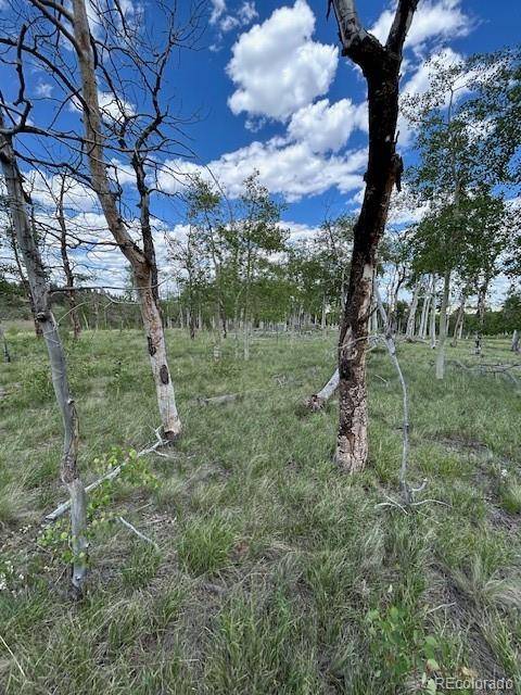 807 Bolster DR, Hartsel, CO 80449