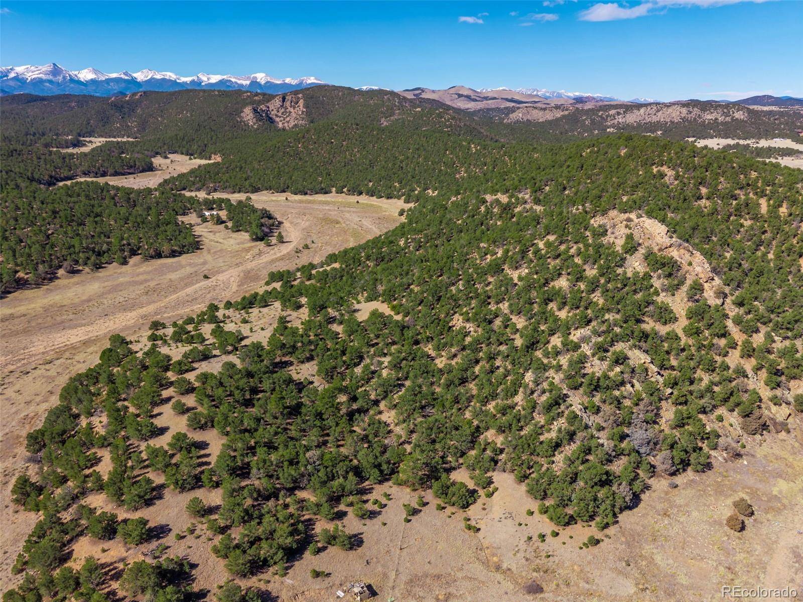 710 Mc Clure Gulch RD, Cotopaxi, CO 81223