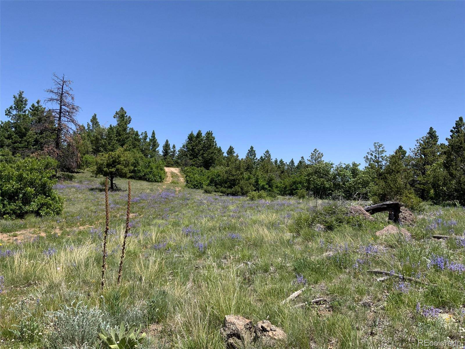 000 Peak View Ridge, Canon City, CO 81212