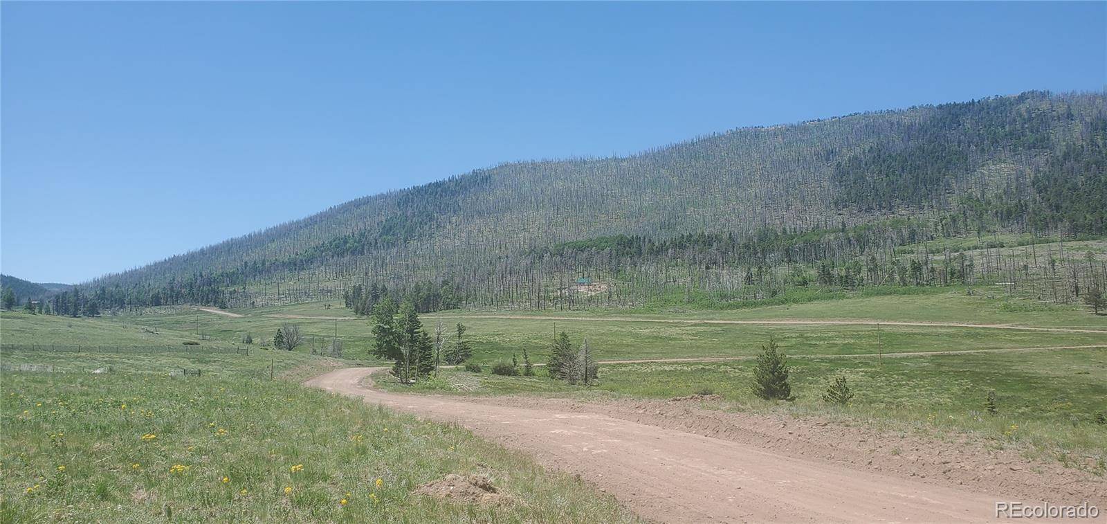 Lot 2120 Sigler DR, Fort Garland, CO 81133