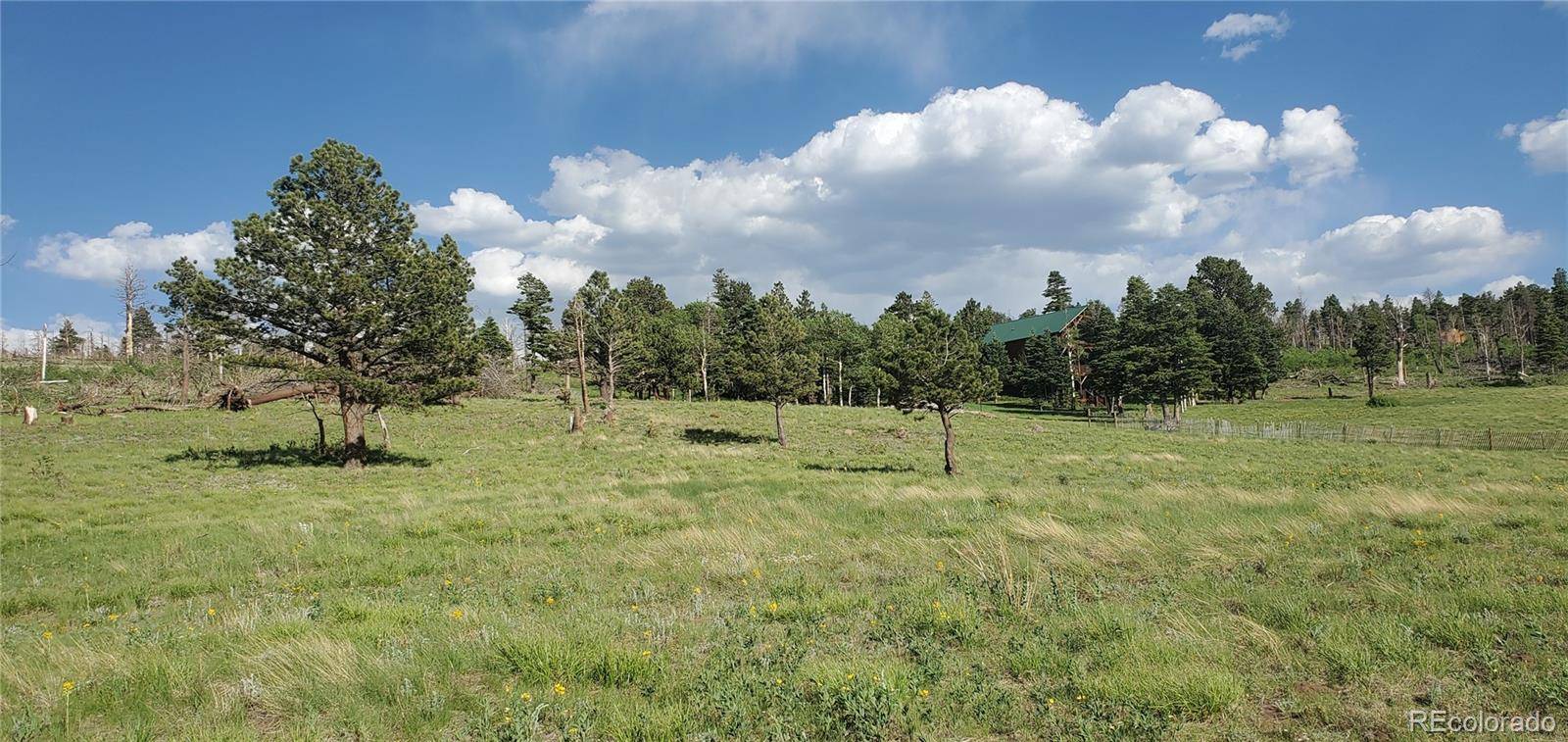 Lot 2120 Sigler DR, Fort Garland, CO 81133