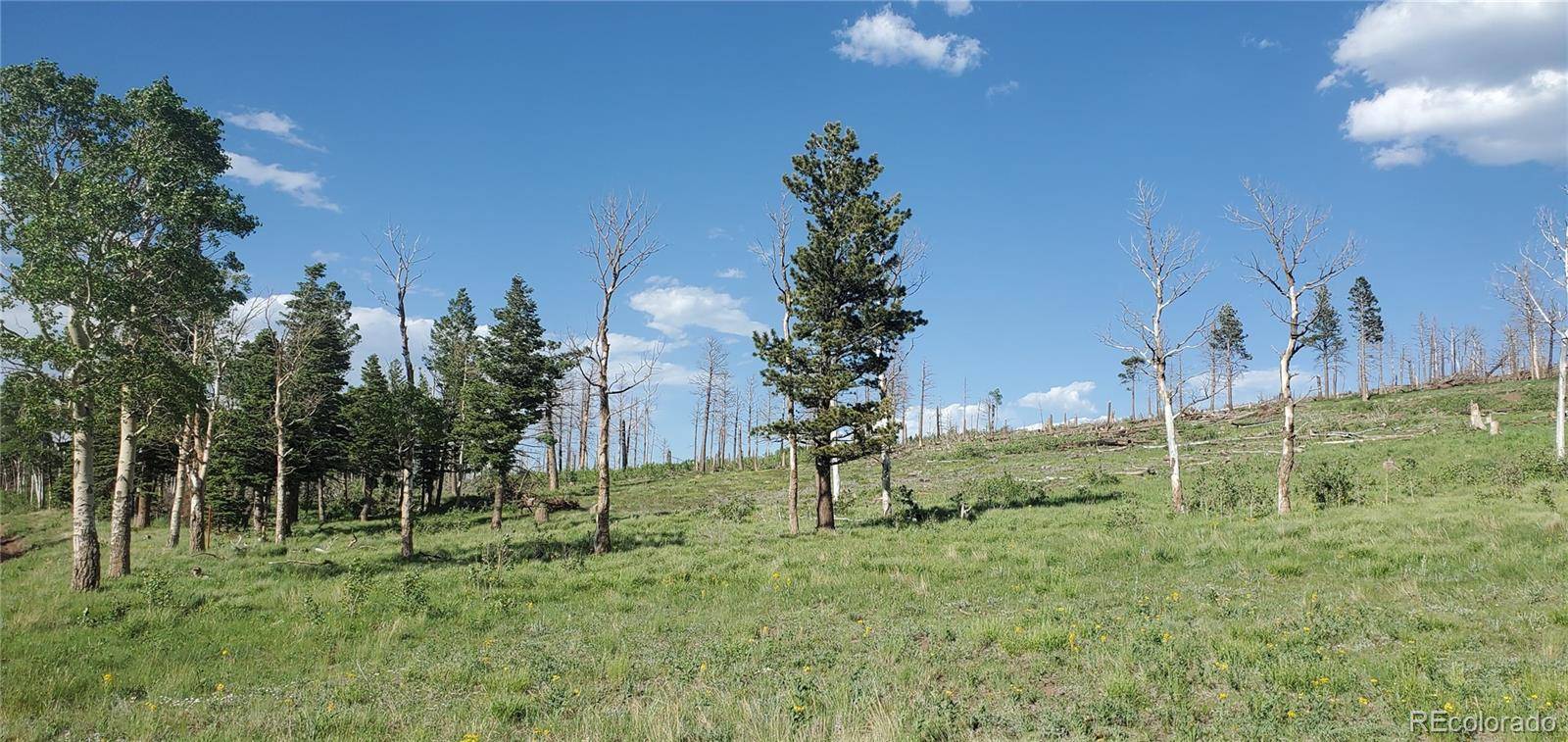 Lot 2120 Sigler DR, Fort Garland, CO 81133