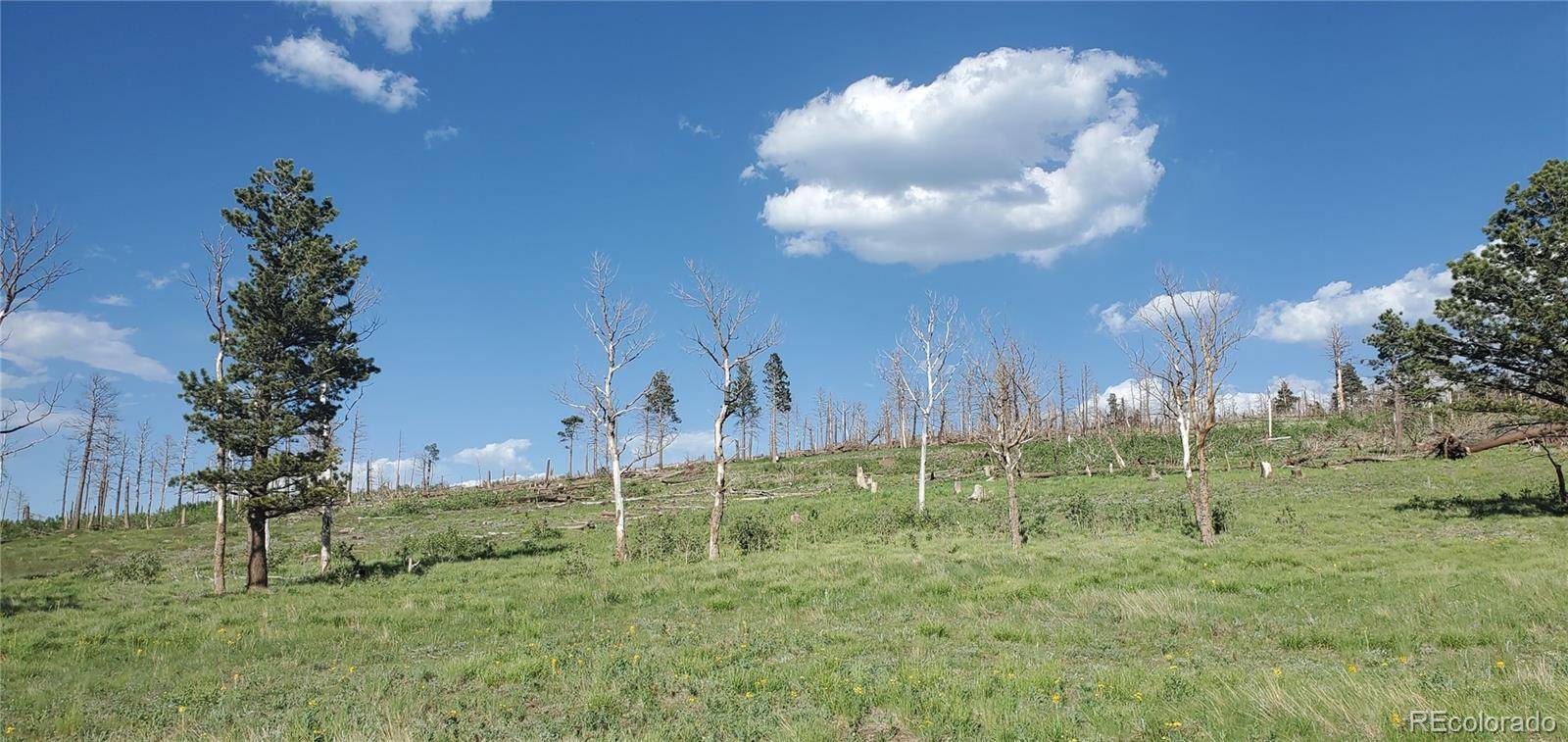 Lot 2120 Sigler DR, Fort Garland, CO 81133
