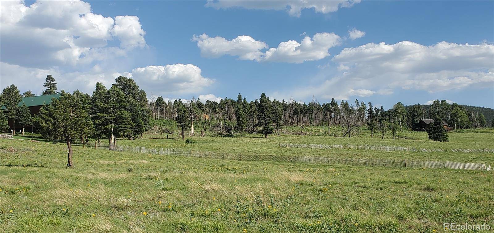 Lot 2120 Sigler DR, Fort Garland, CO 81133