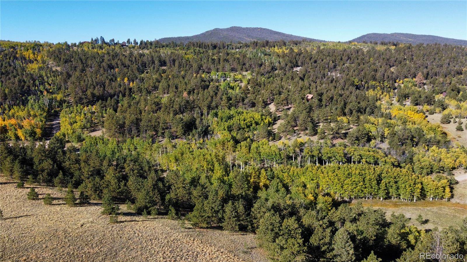 539 Tapedero RD, Hartsel, CO 80449