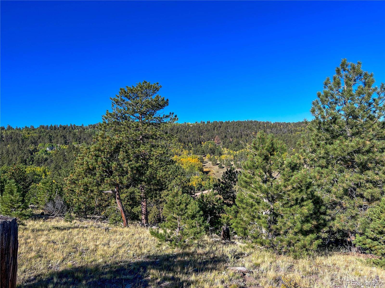 539 Tapedero RD, Hartsel, CO 80449