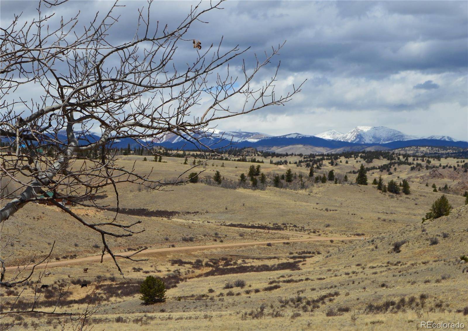 537 Lippzana RD, Jefferson, CO 80456