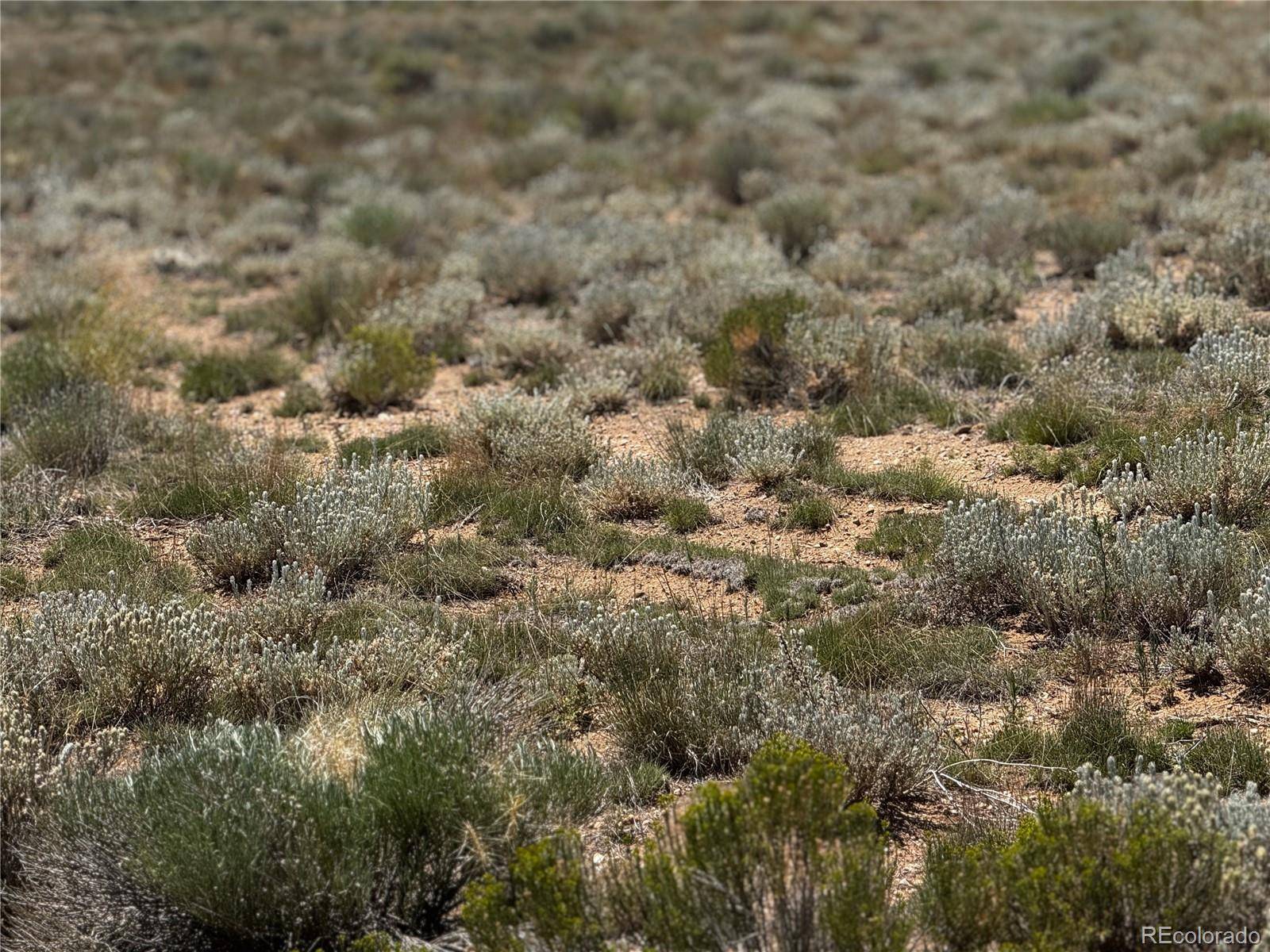 Lot 16 Rodger RD, San Luis, CO 81152